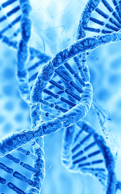 Anhua Bio PDRN məhsulunu təqdim edir: Sintetik biologiya ilə toxumaların bərpası üçün xammalların qlobal tədarük zəncirinin yenidən qurulması